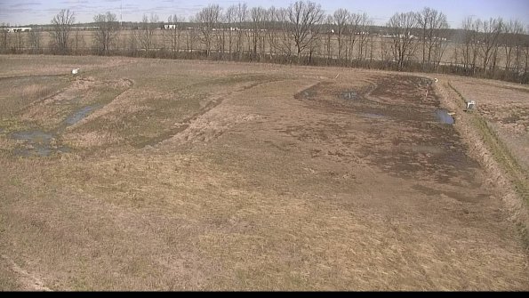 Cell 3-22-04-17_11-36-37-10