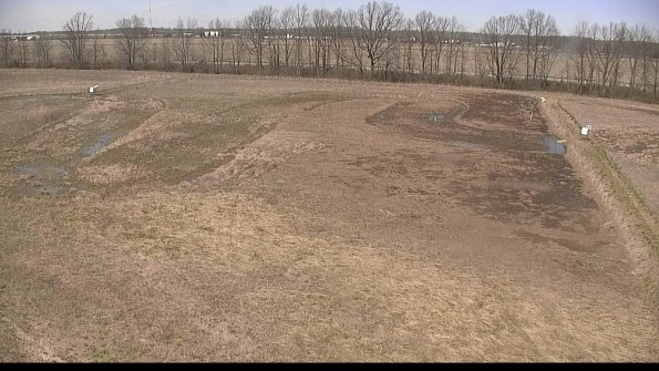 Cell 3-22-04-17_13-40-54-05