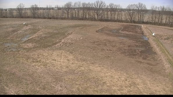 Cell 3-22-04-17_14-43-03-02