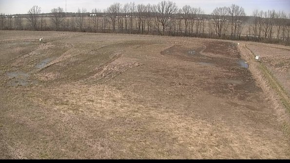 Cell 3-22-04-17_15-45-11-03