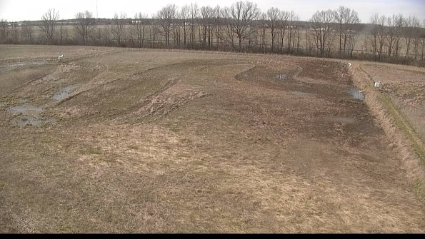 Cell 3-22-04-17_16-47-20-01