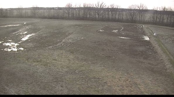 Cell 3-22-04-17_19-53-44-93