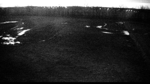 Cell 3-22-04-17_20-55-53-90