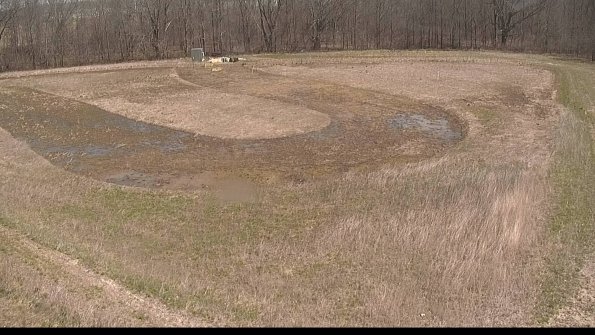 Cell 4-22-04-17_11-37-05-09