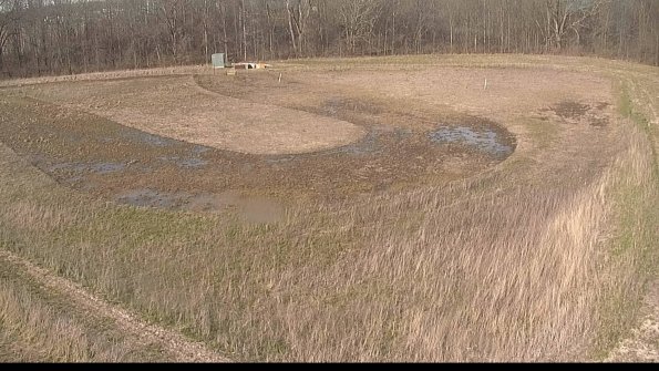 Cell 4-22-04-17_17-49-55-98