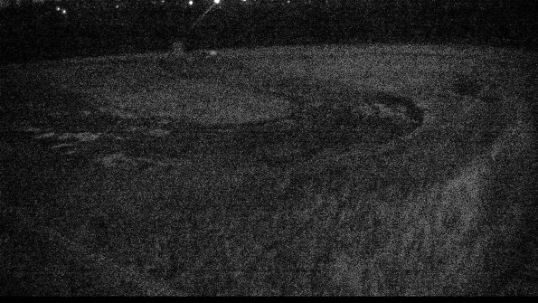 Cell 4-22-04-17_20-56-21-90