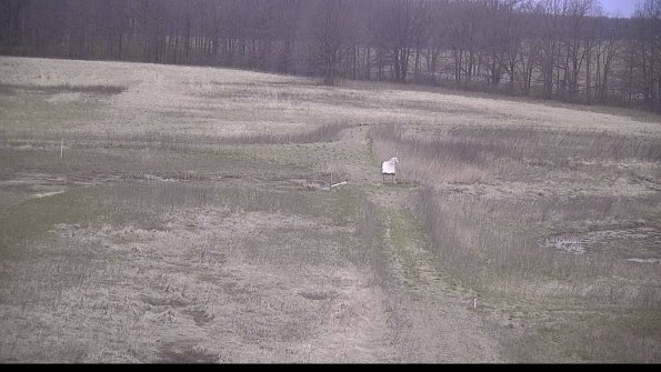 Cell 1 to 2 Monitoring-22-04-18_07-16-37-62