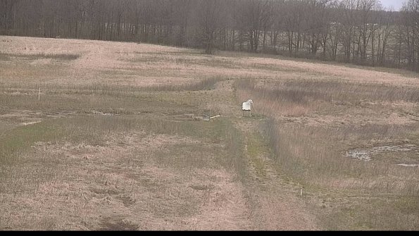 Cell 1 to 2 Monitoring-22-04-18_08-18-47-59