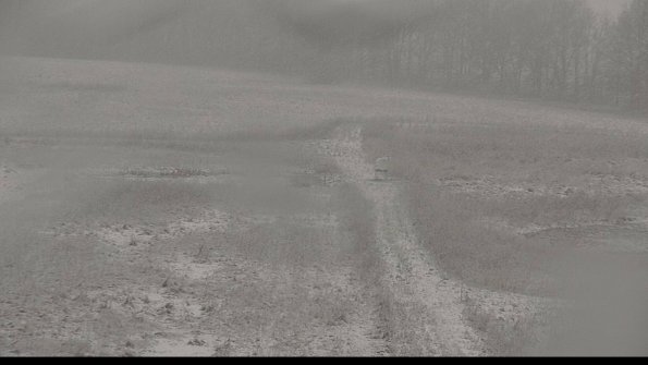 Cell 1 to 2 Monitoring-22-04-18_11-25-13-49