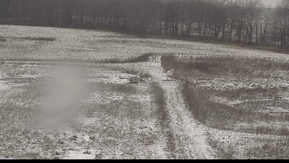 Cell 1 to 2 Monitoring-22-04-18_12-27-21-46