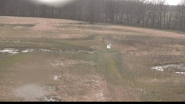 Cell 1 to 2 Monitoring-22-04-18_14-31-39-42