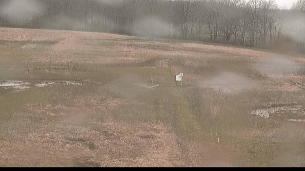 Cell 1 to 2 Monitoring-22-04-18_15-33-48-40