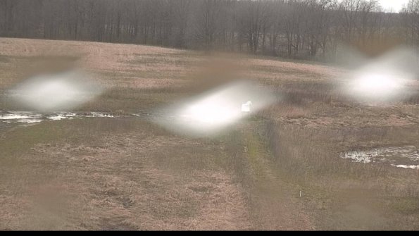 Cell 1 to 2 Monitoring-22-04-18_17-38-06-34