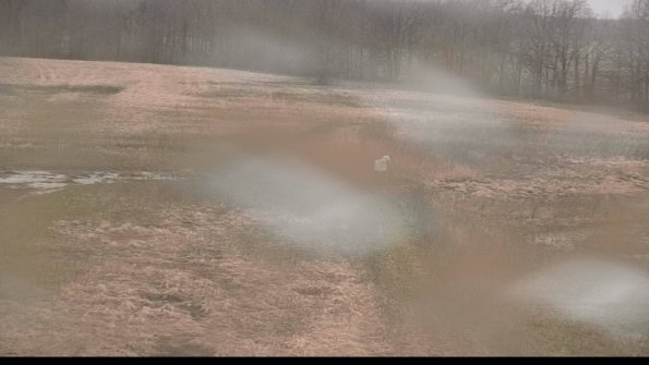 Cell 1 to 2 Monitoring-22-04-18_18-40-15-31