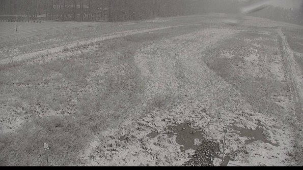 Cell 1-22-04-18_11-24-59-51