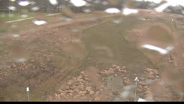 Cell 1-22-04-18_16-35-43-35