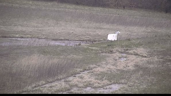 Cell 2 to 3 Monitoring-22-04-18_07-17-04-61