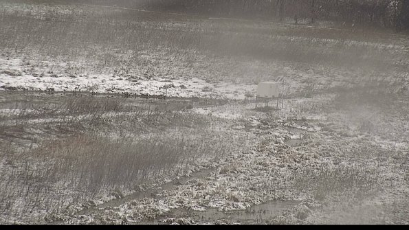 Cell 2 to 3 Monitoring-22-04-18_12-27-48-45