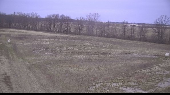 Cell 2-22-04-18_07-16-50-60