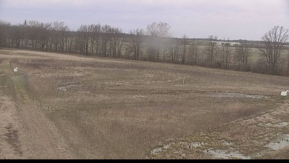 Cell 2-22-04-18_08-18-59-56