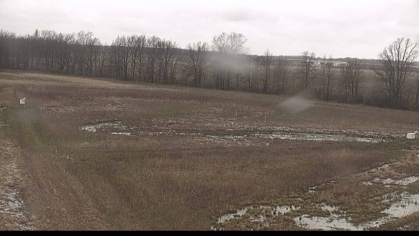 Cell 2-22-04-18_14-31-52-40