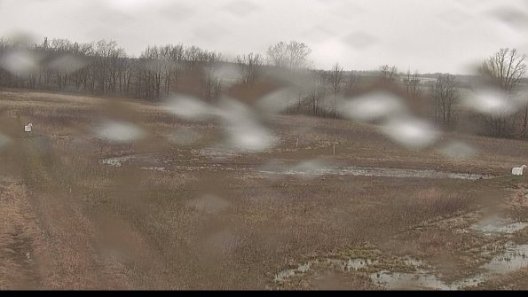 Cell 2-22-04-18_15-34-01-38