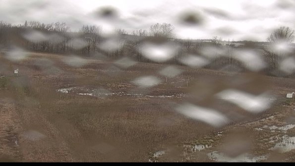 Cell 2-22-04-18_16-36-10-35