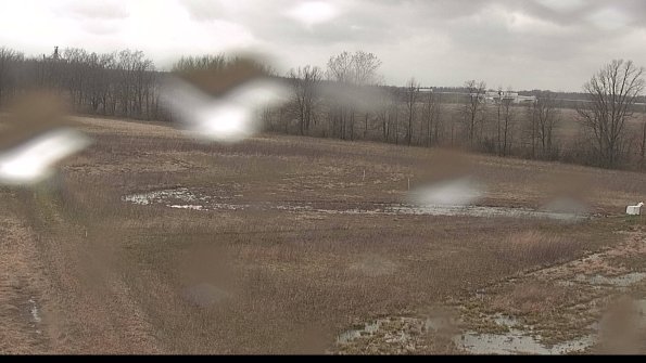 Cell 2-22-04-18_17-38-19-35