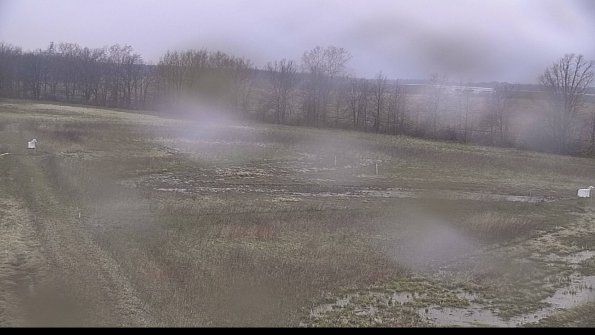 Cell 2-22-04-18_19-42-37-29