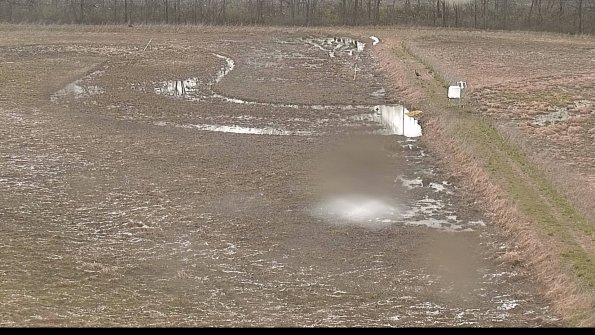 Cell 3 to 4 Monitoring-22-04-18_14-32-35-41