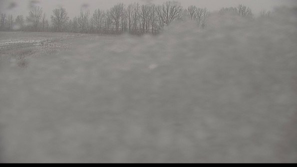 Cell 3-22-04-18_11-25-54-50