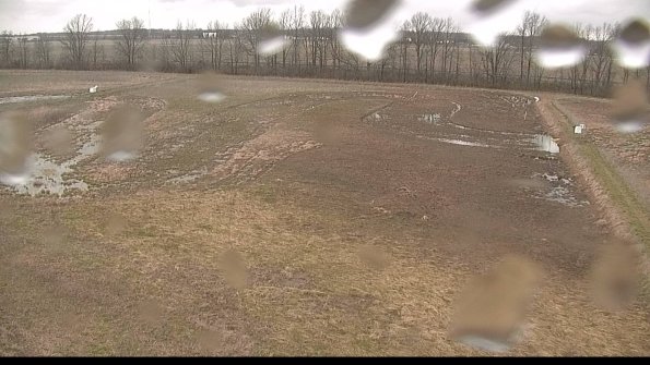 Cell 3-22-04-18_17-38-48-35