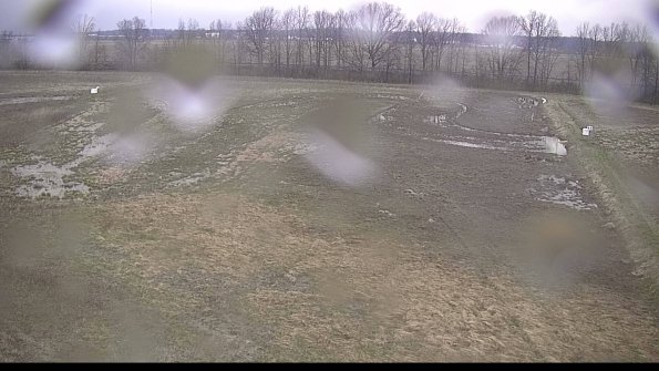 Cell 3-22-04-18_19-43-06-29