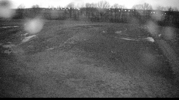 Cell 3-22-04-18_20-45-15-25