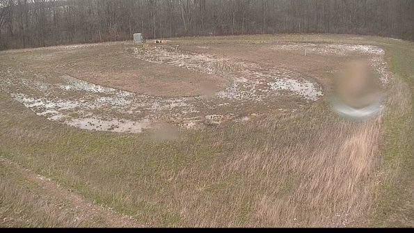 Cell 4-22-04-18_14-32-49-43