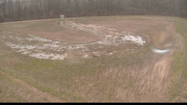 Cell 4-22-04-18_15-34-58-40