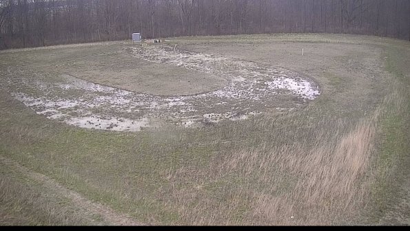 Cell 4-22-04-18_19-43-34-28