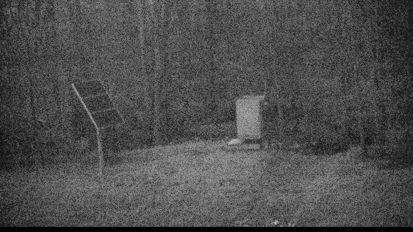 1-22-04-22_06-13-10-08