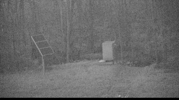 1-22-04-22_06-18-10-08