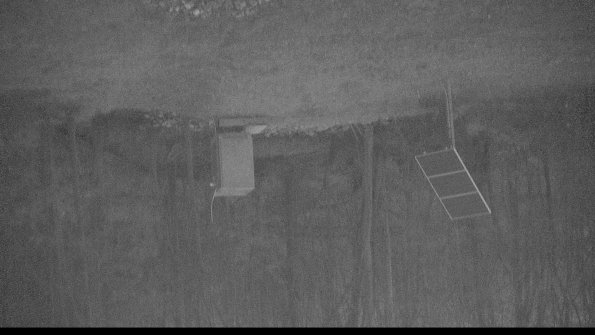 1-22-04-22_06-28-09-08