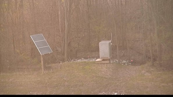 1-22-04-22_07-14-10-06