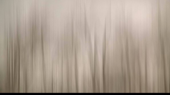 1-22-04-22_07-19-09-06