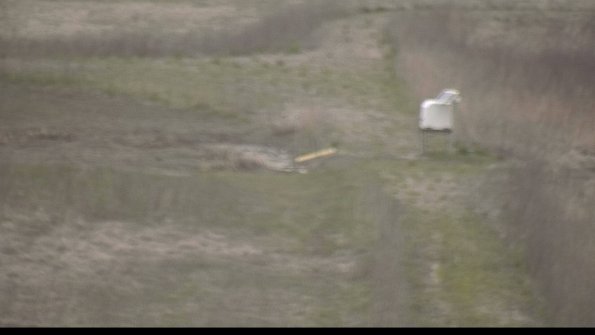 1-22-04-22_19-52-29-36