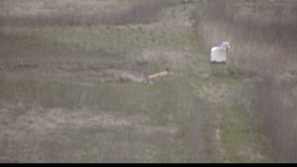 1-22-04-22_20-15-49-33