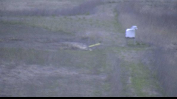 1-22-04-22_20-23-59-36