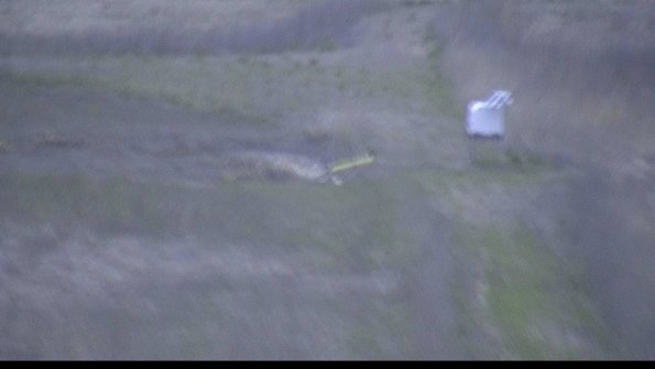 1-22-04-22_20-26-19-33