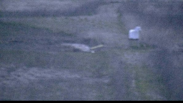 1-22-04-22_20-46-09-33