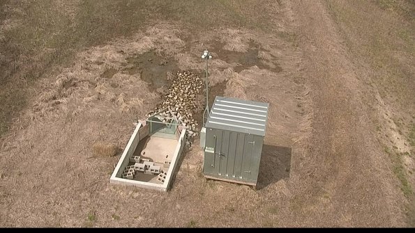 2-22-04-22_12-07-41-95