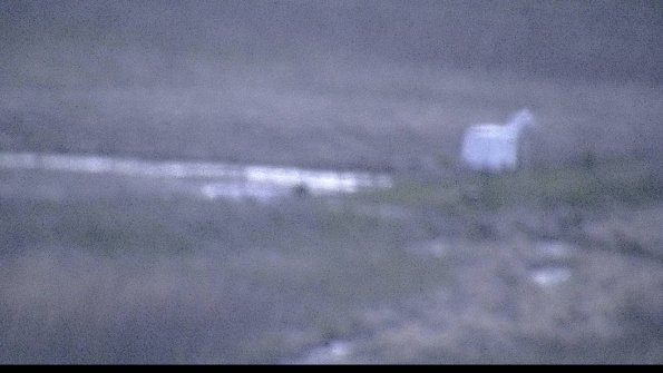 2-22-04-22_20-42-49-33