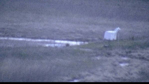 2-22-04-22_20-45-09-33